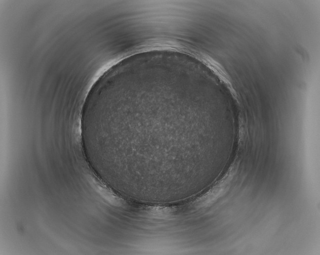 X0000110891226200907021511