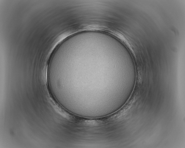 X0000110891227200907021511