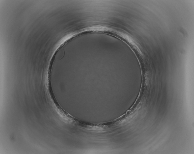 X0000110891229200907021511