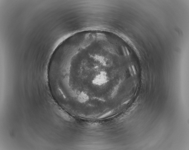 X0000110891230200907021511