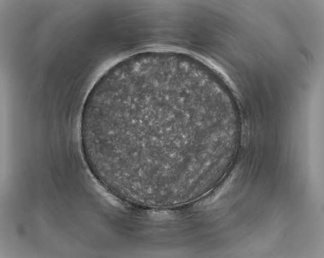X0000110891231200907021511
