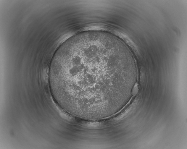 X0000110891233200907021511