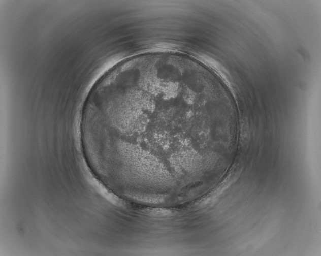 X0000110891235200907021511