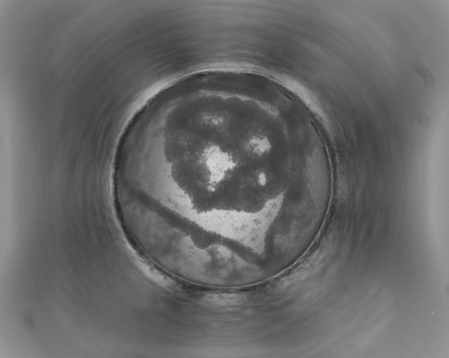 X0000110891237200907021511
