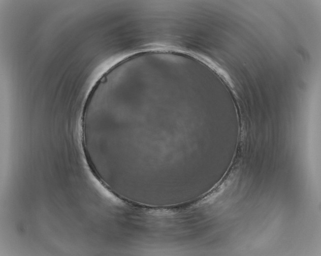 X0000110891239200907021511