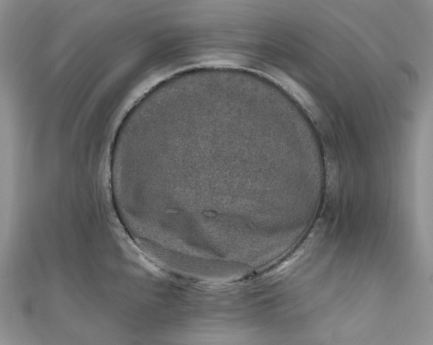 X0000110891240200907021511