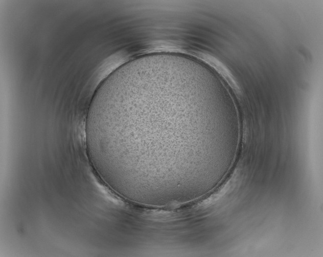 X0000110891241200907021511