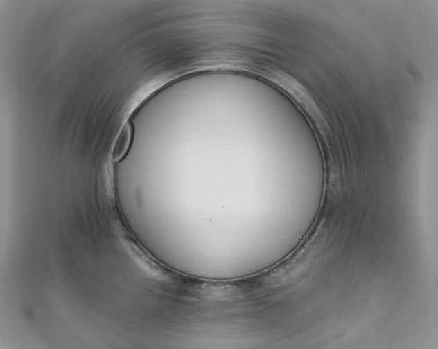 X0000110891242200907021511