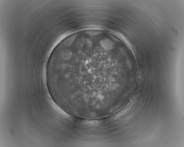 X0000110891243200907021511