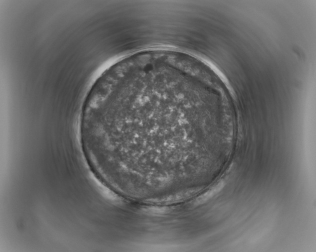 X0000110891245200907021511
