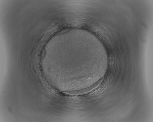 X0000110891249200907021510