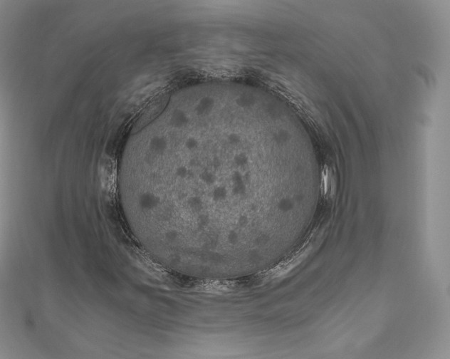 X0000110891251200907021510