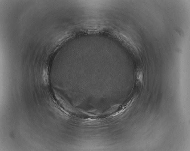 X0000110891252200907021510