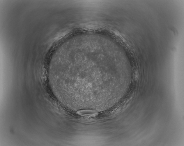 X0000110891253200907021510
