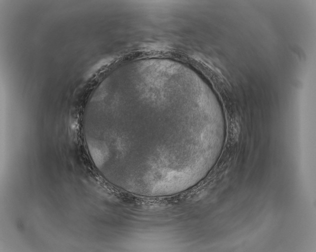 X0000110891254200907021510