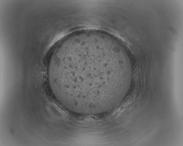 X0000110891255200907021510