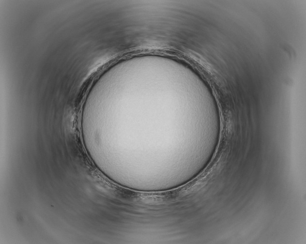 X0000110891258200907021510