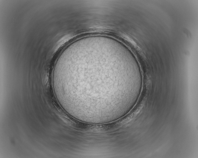 X0000110891259200907021510