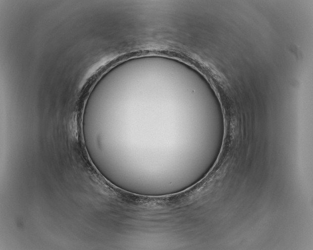 X0000110891262200907021510