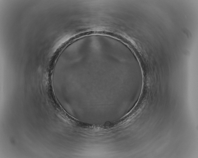 X0000110891263200907021510