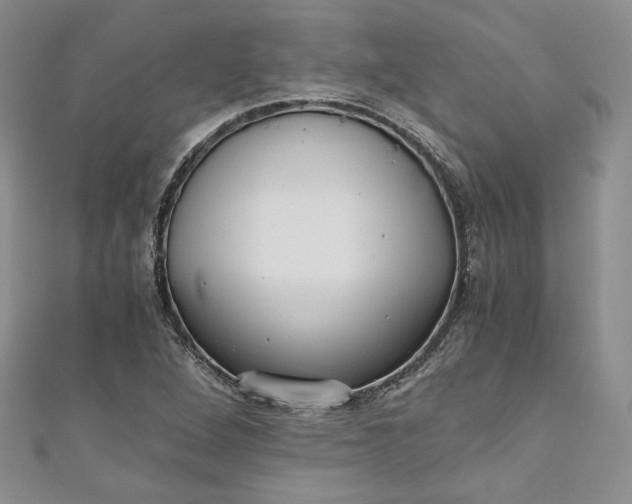 X0000110891264200907021510