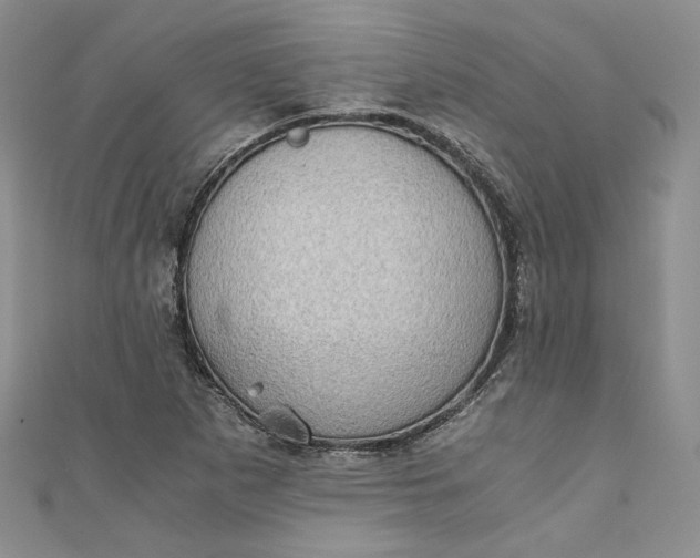 X0000110891265200907021510