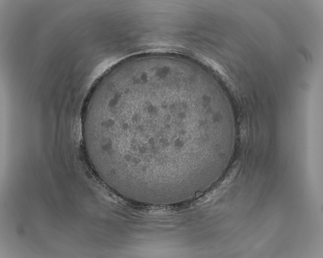 X0000110891267200907021510