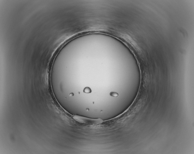 X0000110891268200907021510