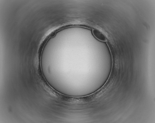 X0000110891270200907021510