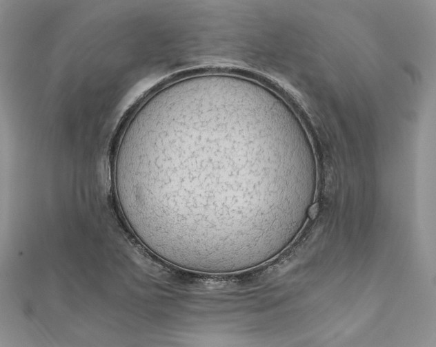 X0000110891271200907021510
