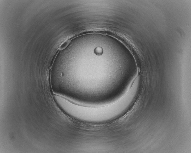 X0000110891273200907021510