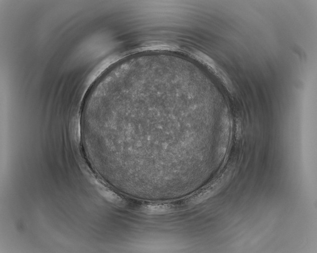 X0000110891274200907021510