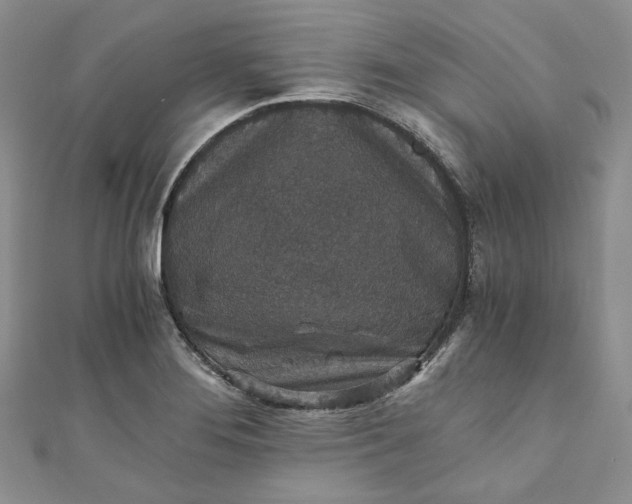 X0000110891276200907021510