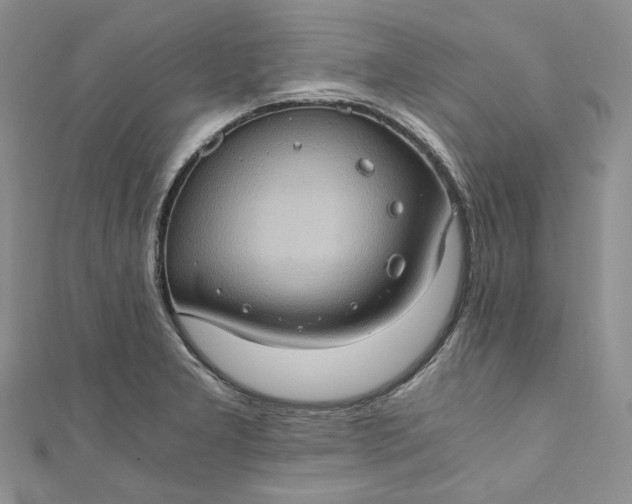 X0000110891277200907021510