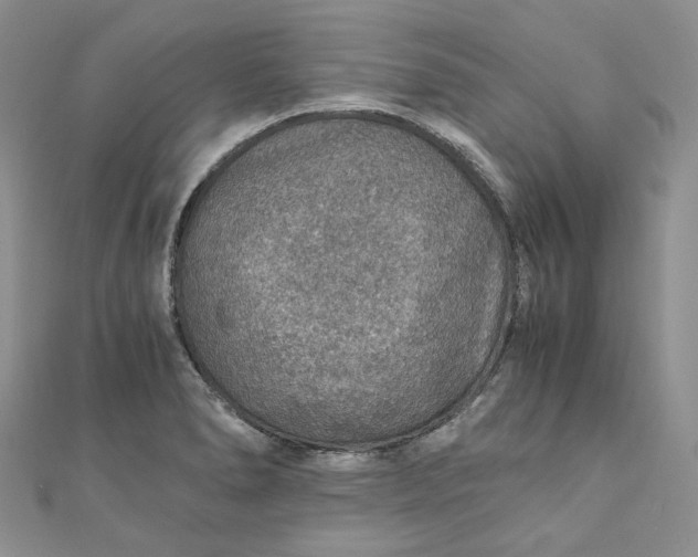 X0000110891278200907021510