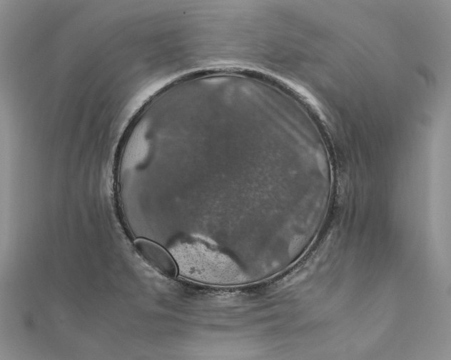 X0000110891279200907021510