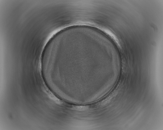 X0000110891280200907021510