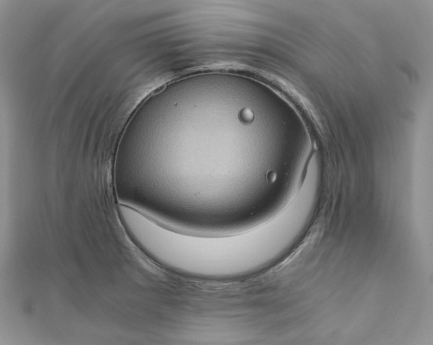 X0000110891281200907021510