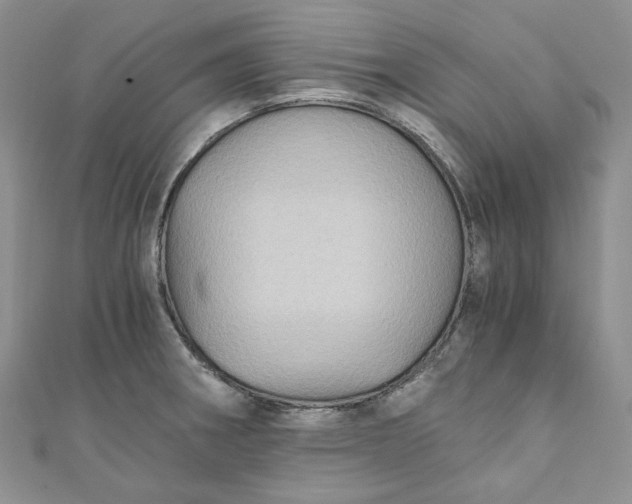 X0000110891282200907021510