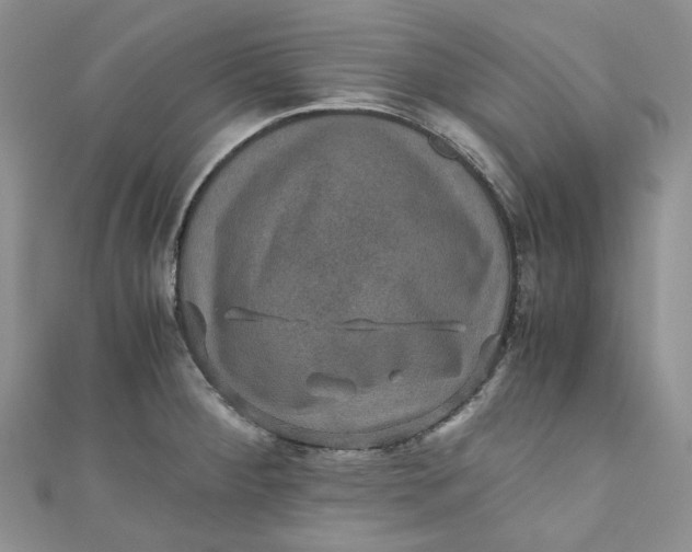X0000110891284200907021510