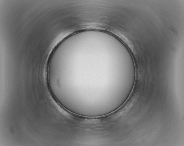 X0000110891285200907021510