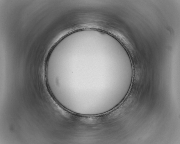 X0000110891286200907021510