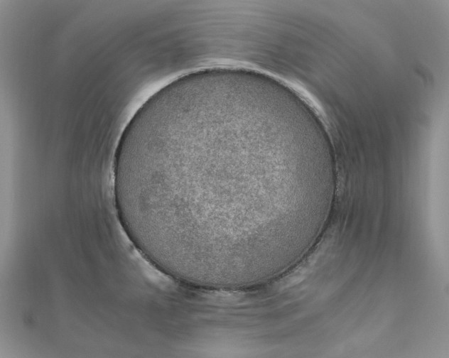 X0000110891287200907021510