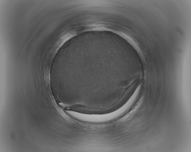 X0000110891289200907021510