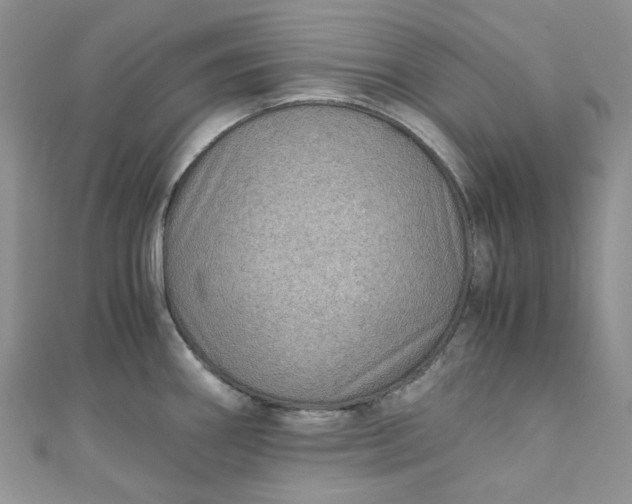 X0000110891290200907021510