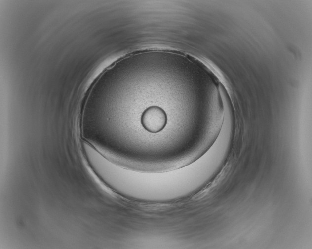 X0000110891293200907021510