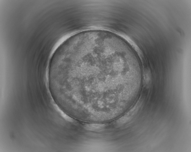 X0000110891294200907021510
