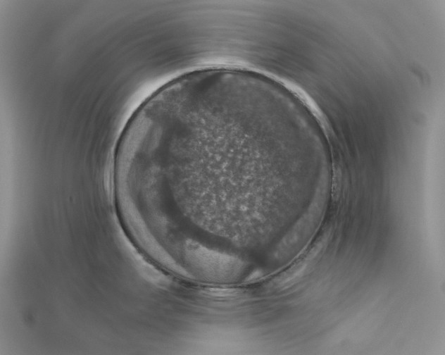 X0000110891295200907021510