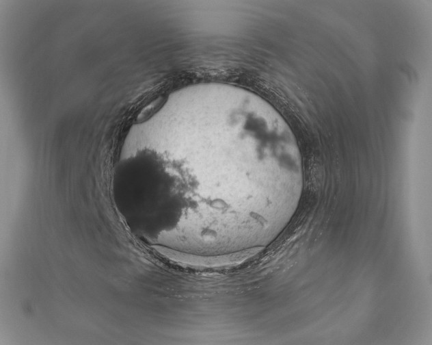 X0000110891297200907021509