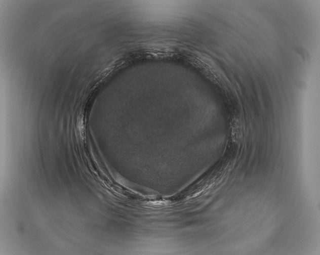 X0000110891298200907021509